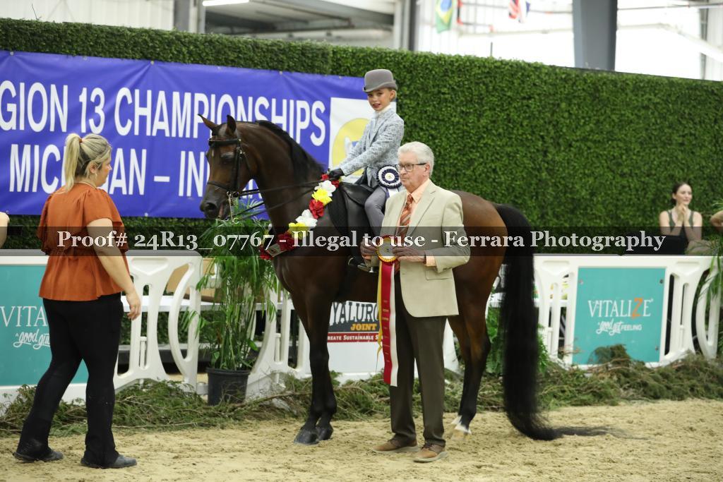 Proof 24R13_07767