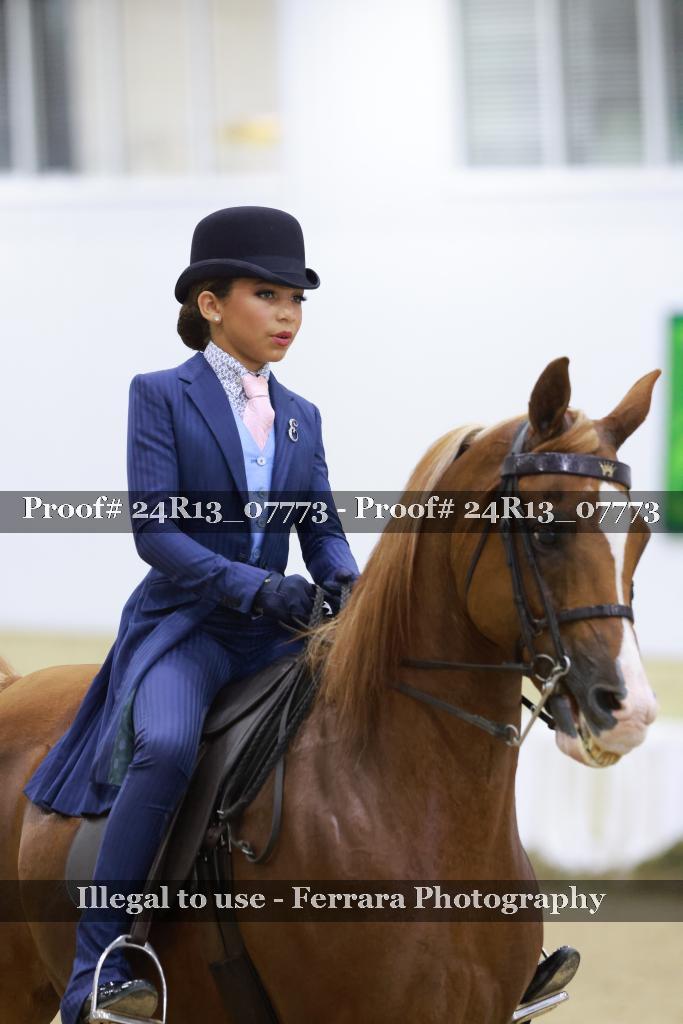 Proof 24R13_07773