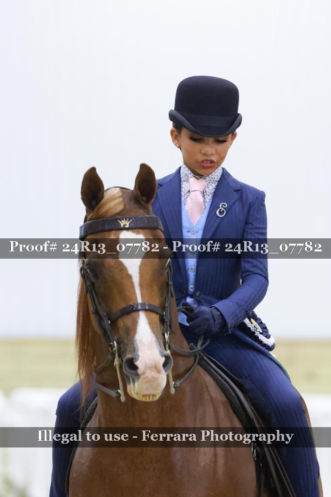 Proof 24R13_07782