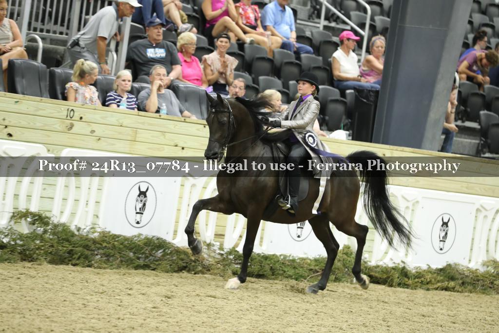 Proof 24R13_07784