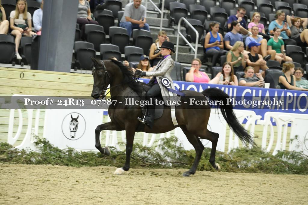 Proof 24R13_07787