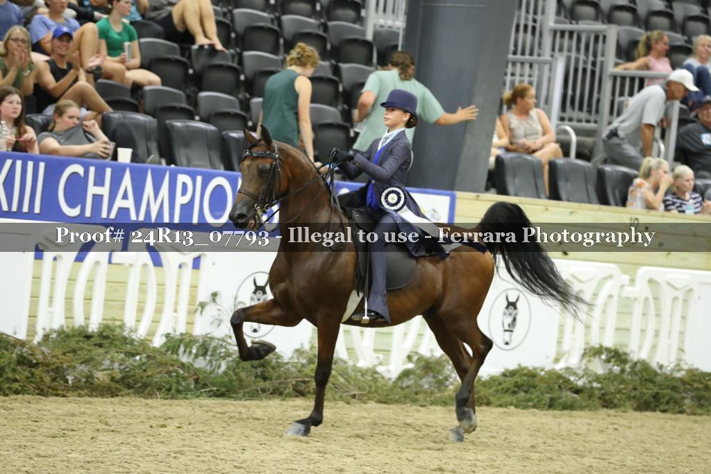 Proof 24R13_07793