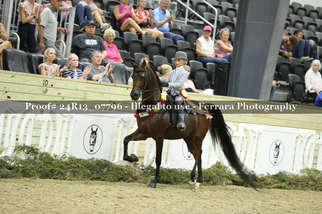 Proof 24R13_07796