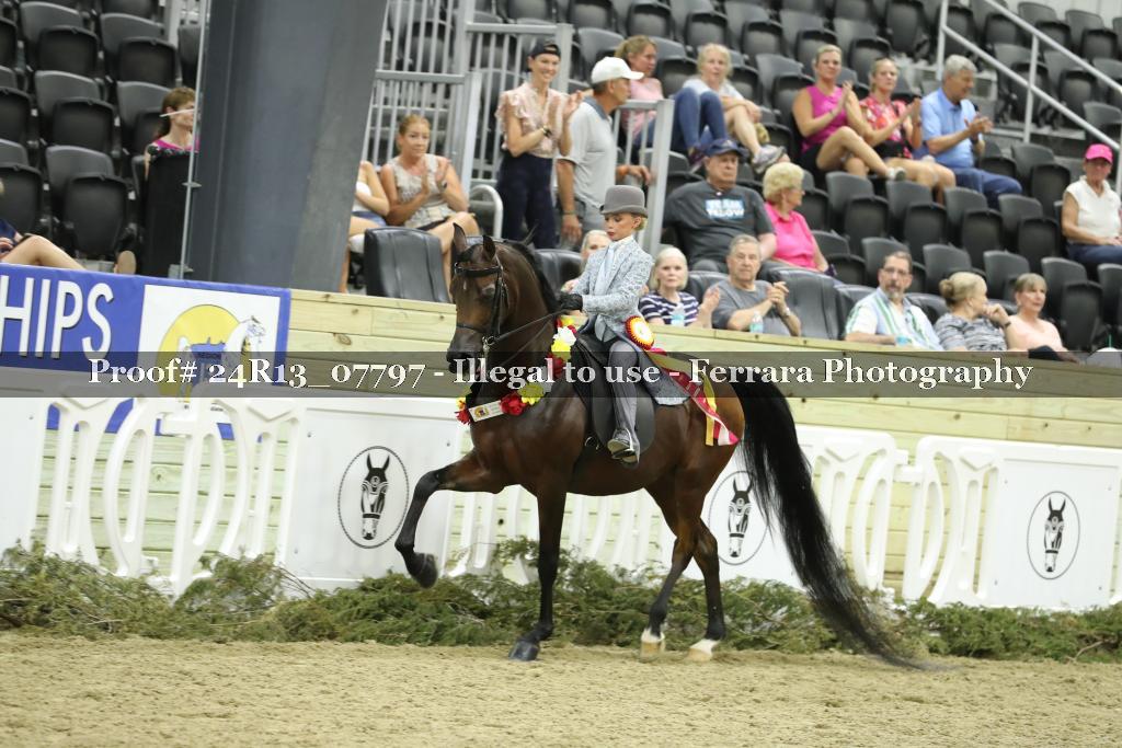 Proof 24R13_07797
