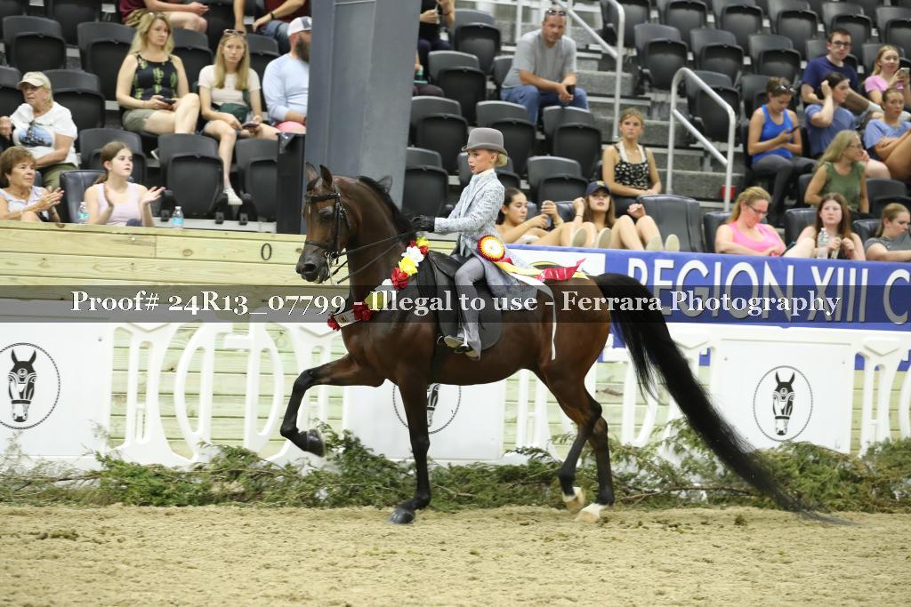 Proof 24R13_07799