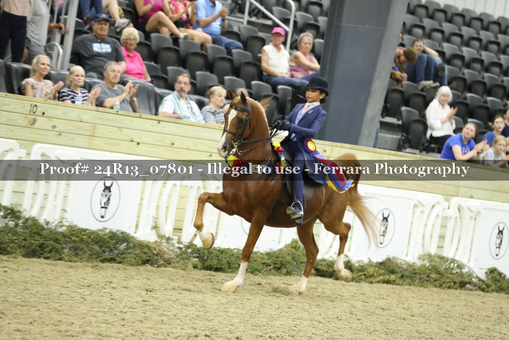 Proof 24R13_07801