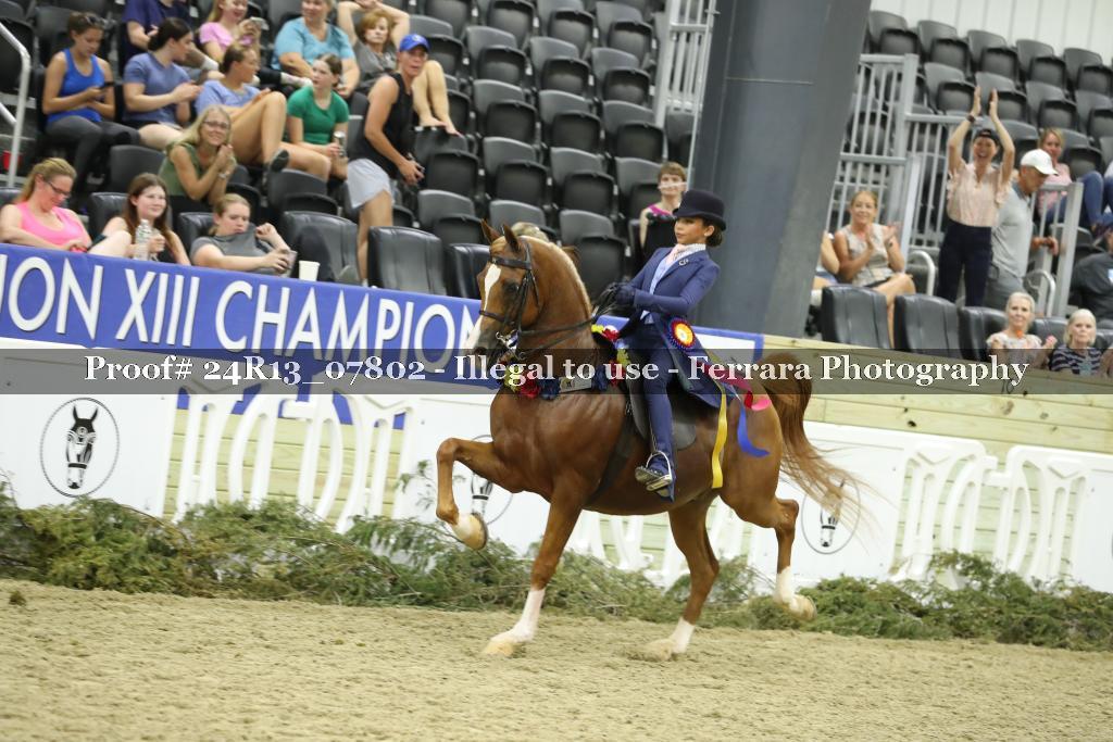 Proof 24R13_07802