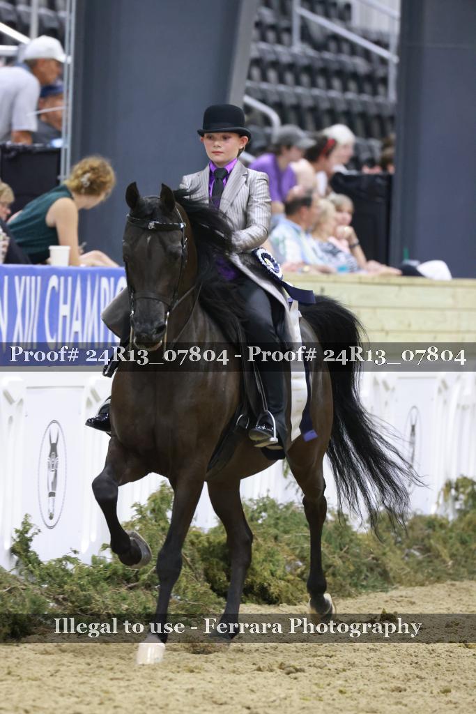 Proof 24R13_07804