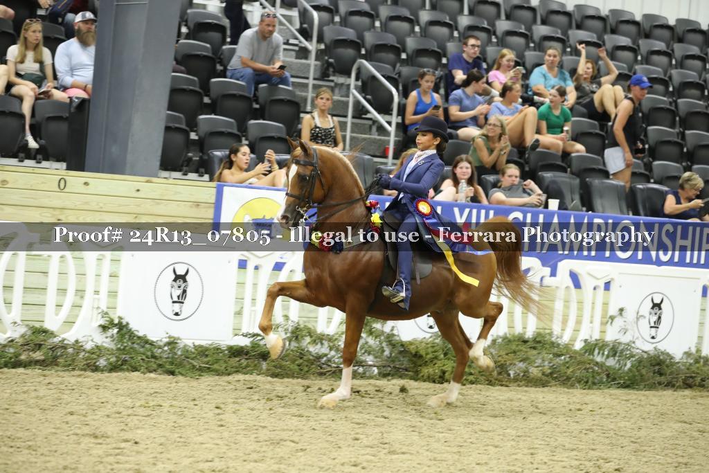Proof 24R13_07805