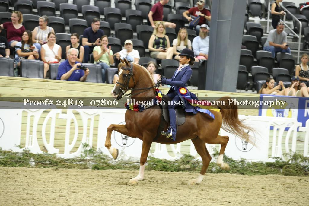 Proof 24R13_07806