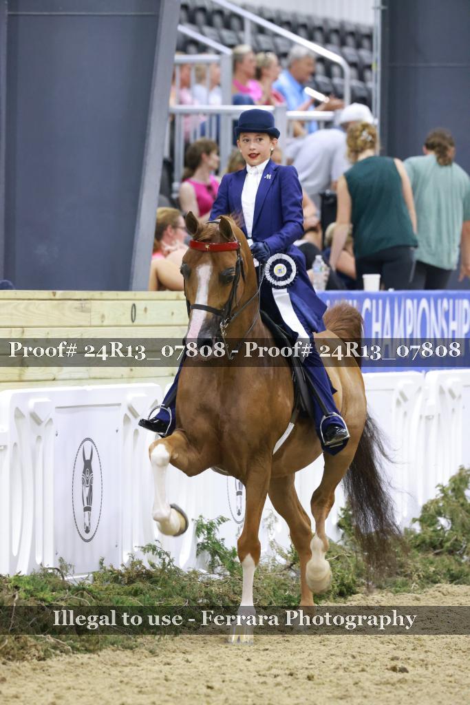 Proof 24R13_07808