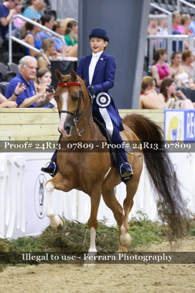Proof 24R13_07809
