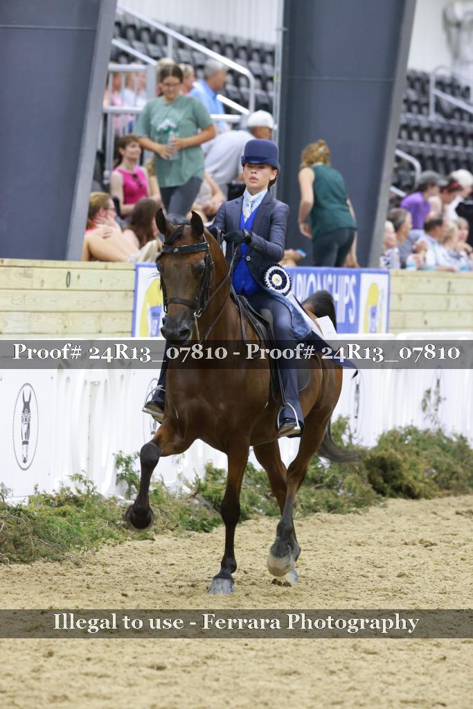 Proof 24R13_07810