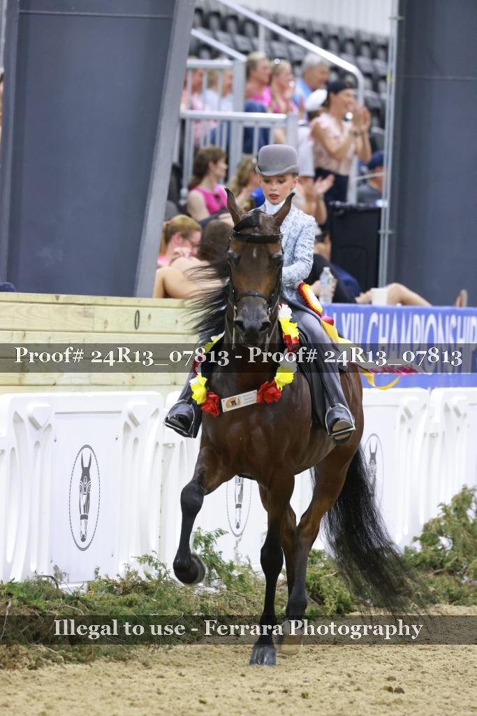 Proof 24R13_07813