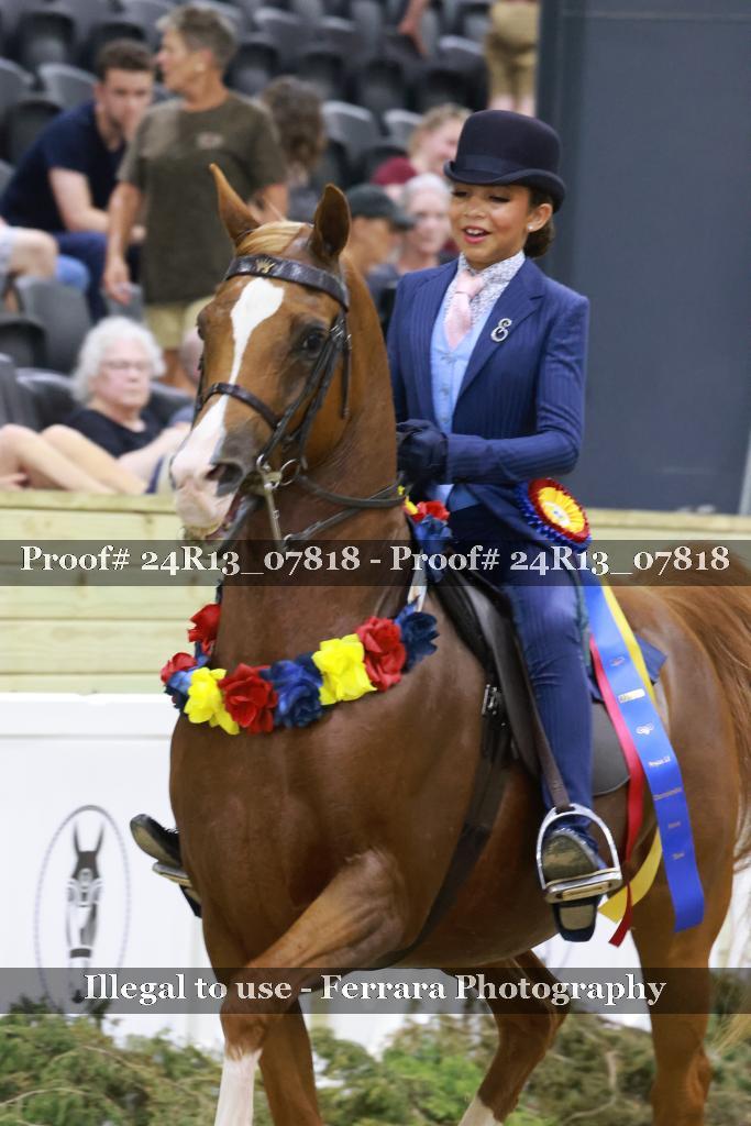 Proof 24R13_07818