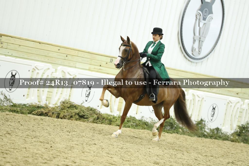 Proof 24R13_07819