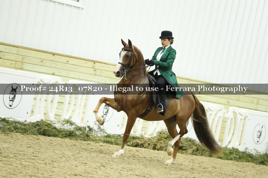 Proof 24R13_07820