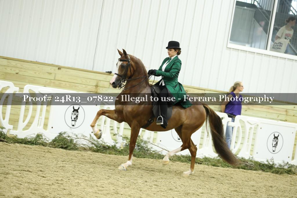 Proof 24R13_07822