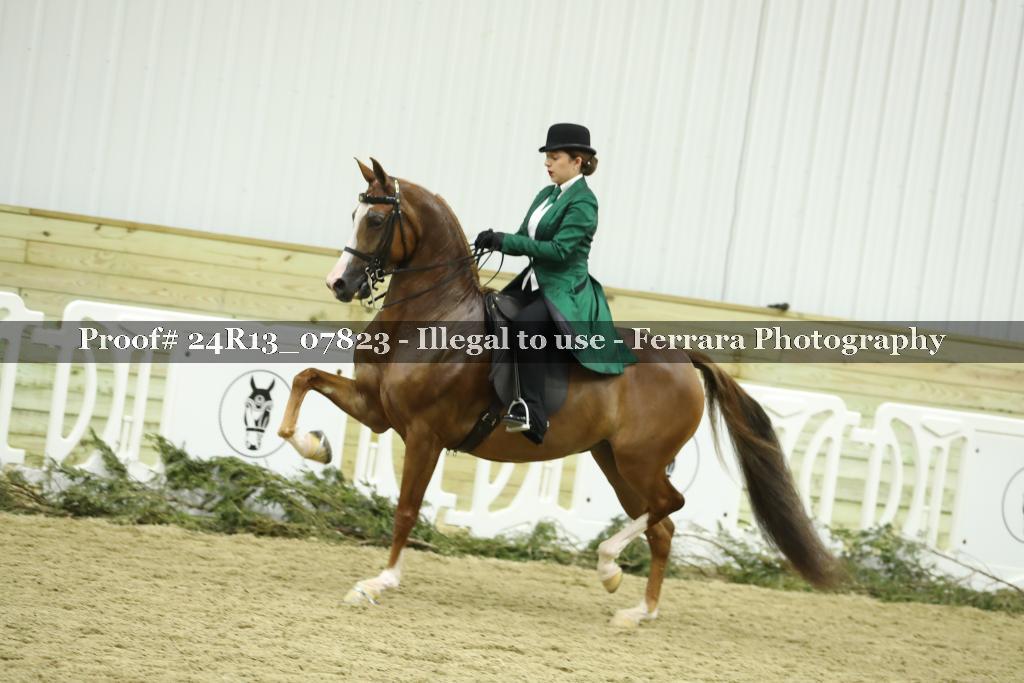 Proof 24R13_07823