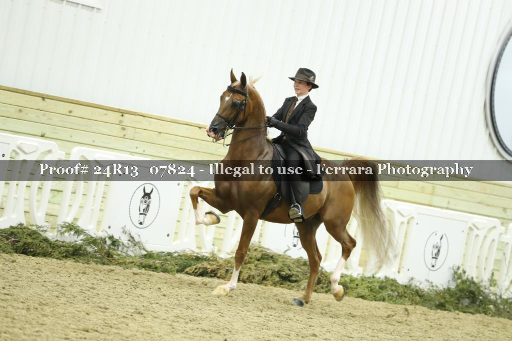 Proof 24R13_07824