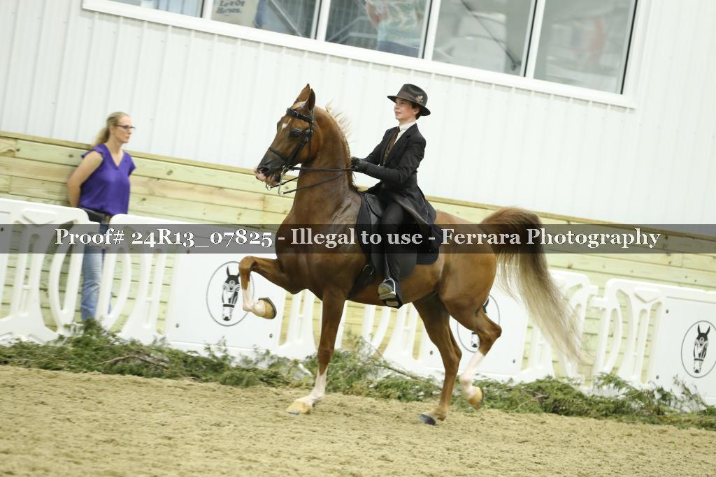 Proof 24R13_07825