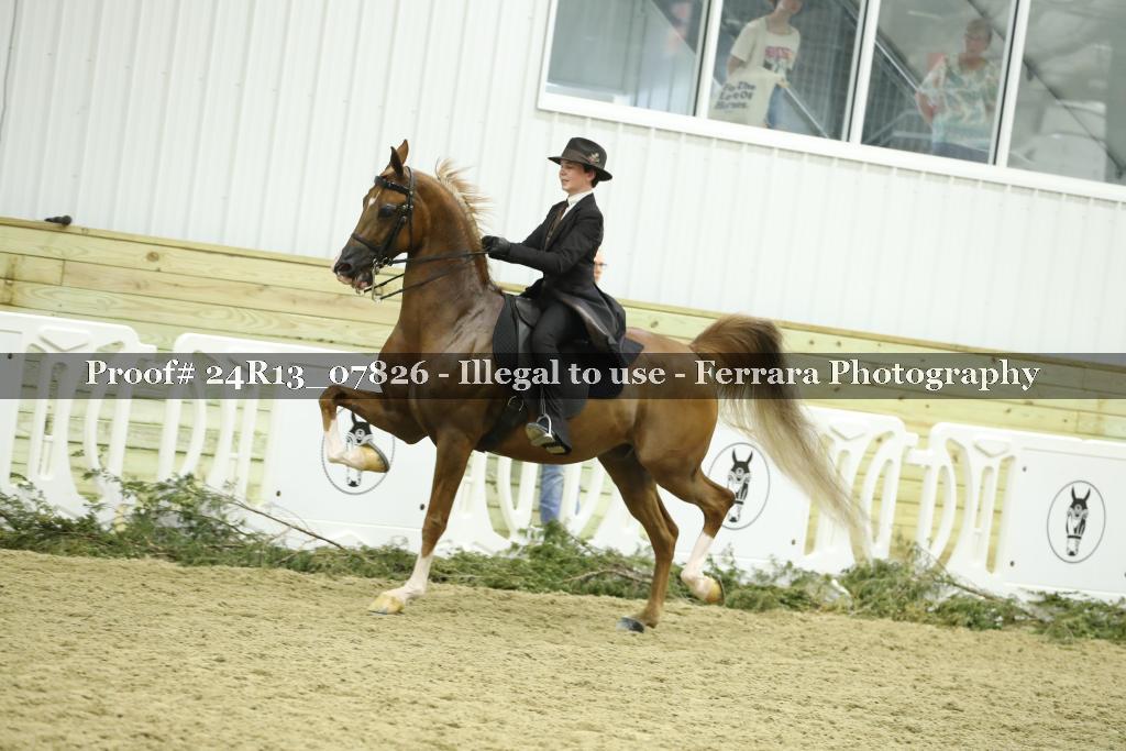 Proof 24R13_07826