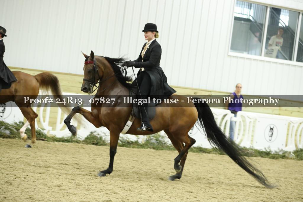 Proof 24R13_07827