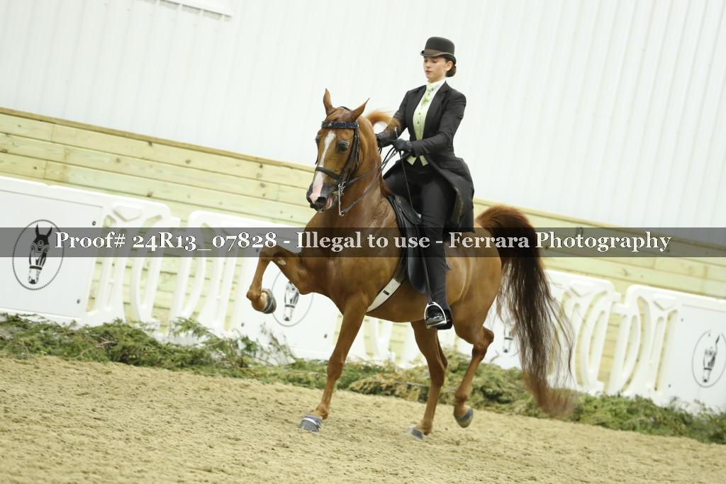 Proof 24R13_07828