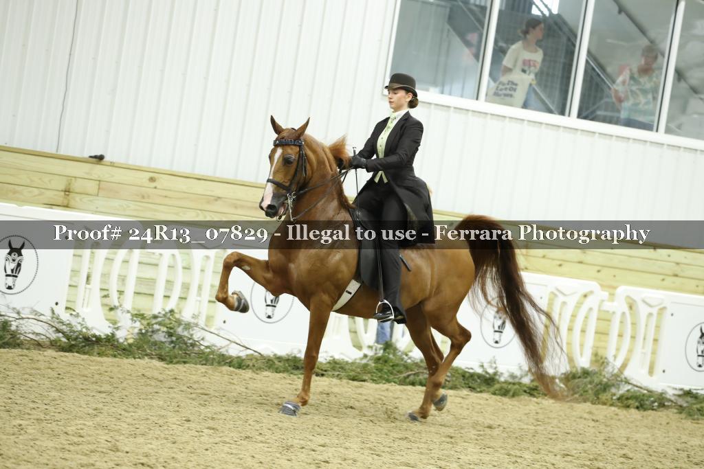 Proof 24R13_07829