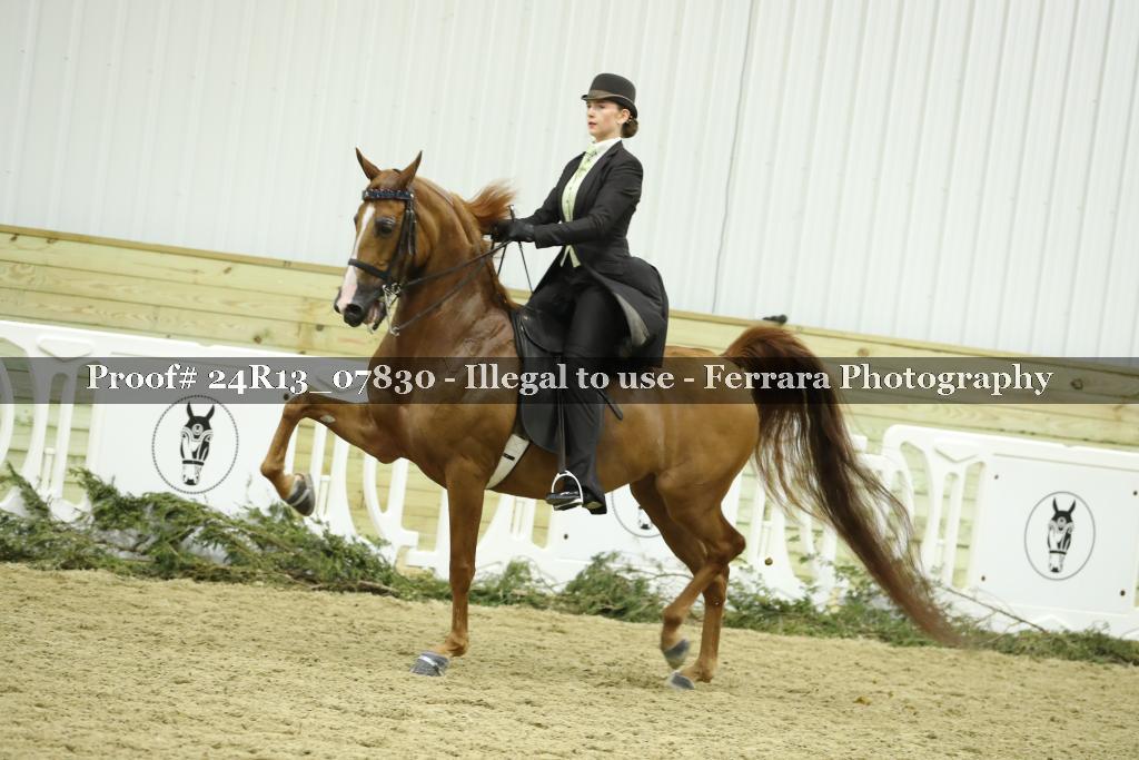 Proof 24R13_07830