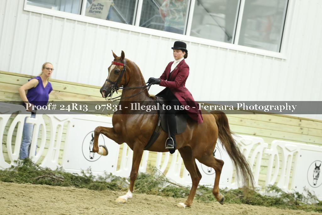 Proof 24R13_07831