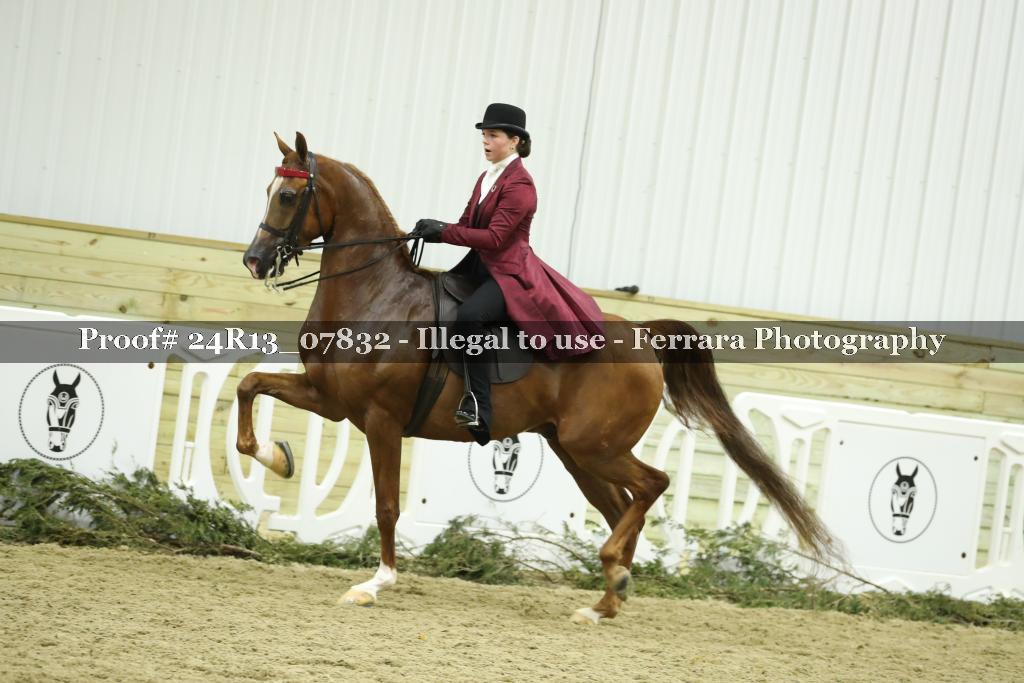 Proof 24R13_07832