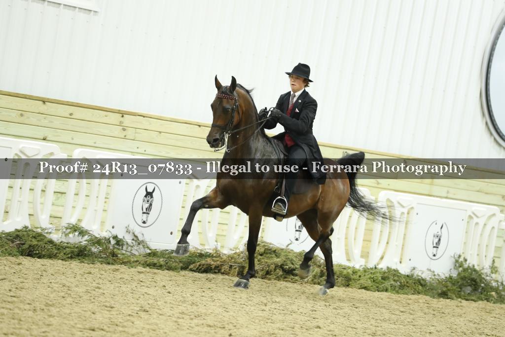 Proof 24R13_07833