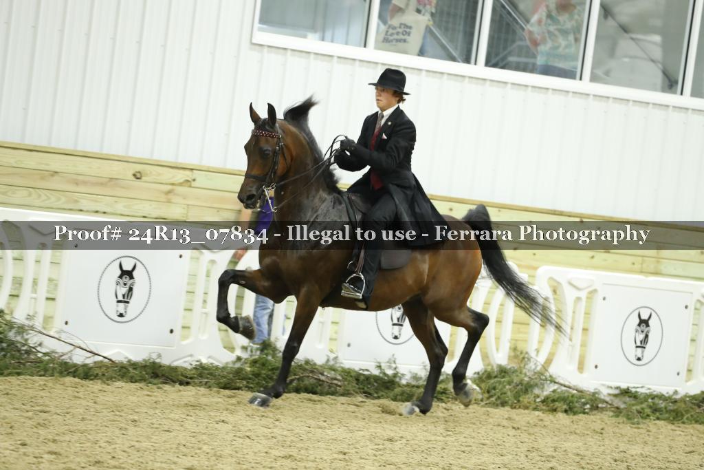 Proof 24R13_07834