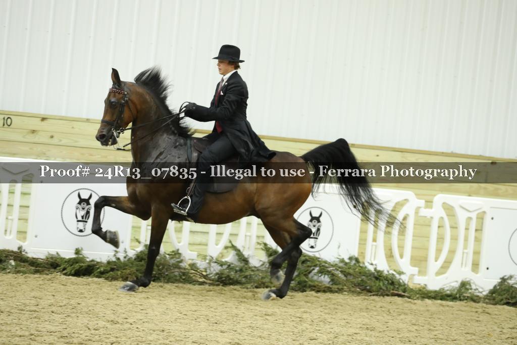 Proof 24R13_07835