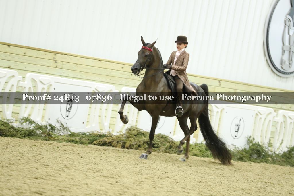 Proof 24R13_07836