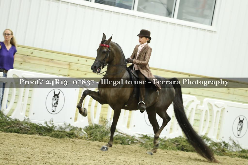 Proof 24R13_07837