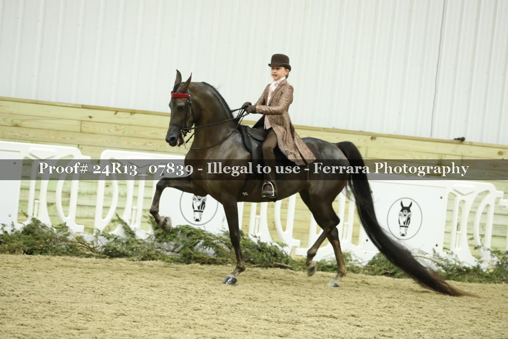 Proof 24R13_07839