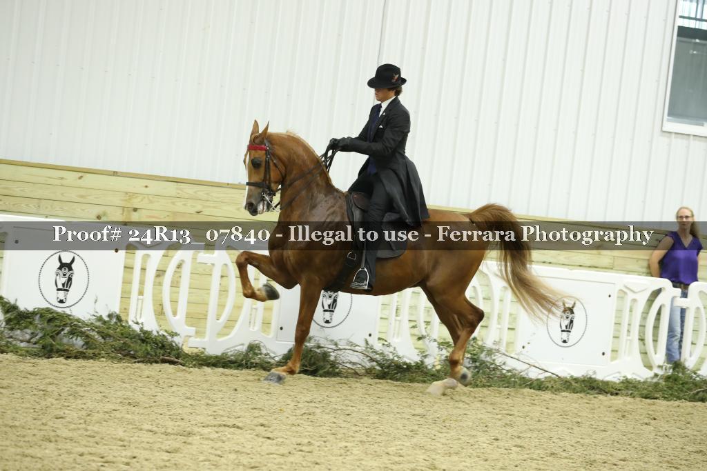 Proof 24R13_07840
