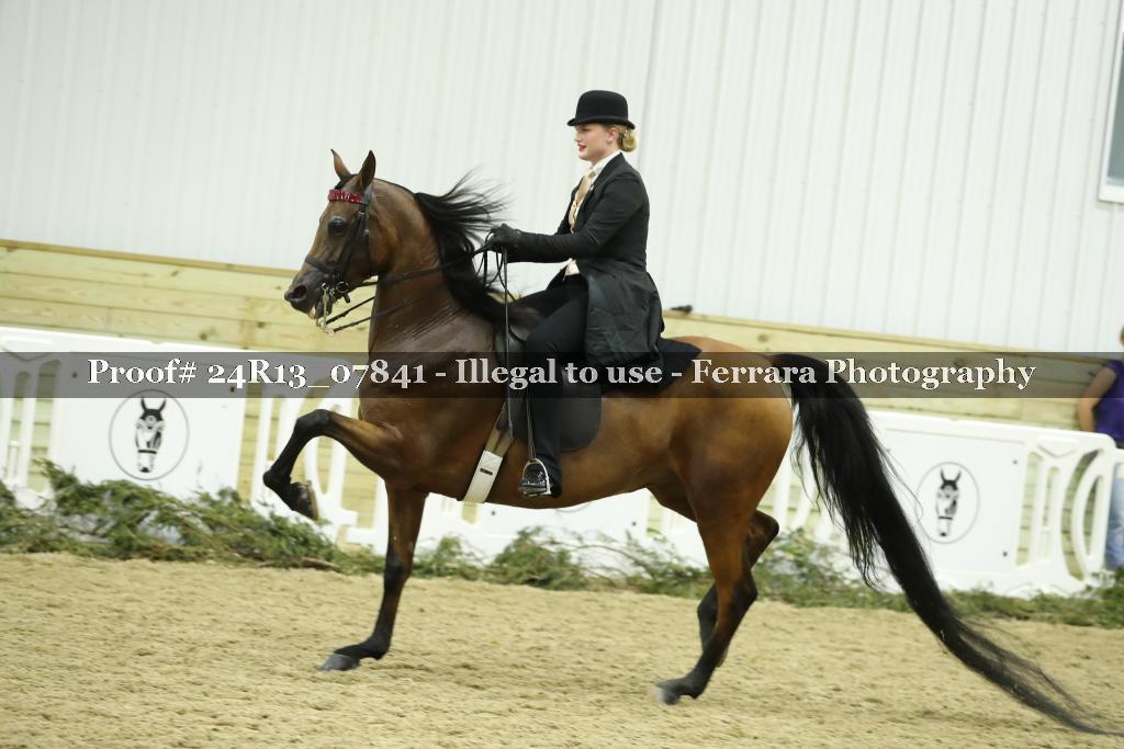 Proof 24R13_07841