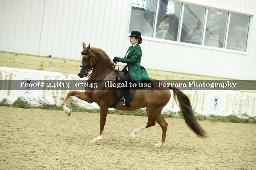 Proof 24R13_07845