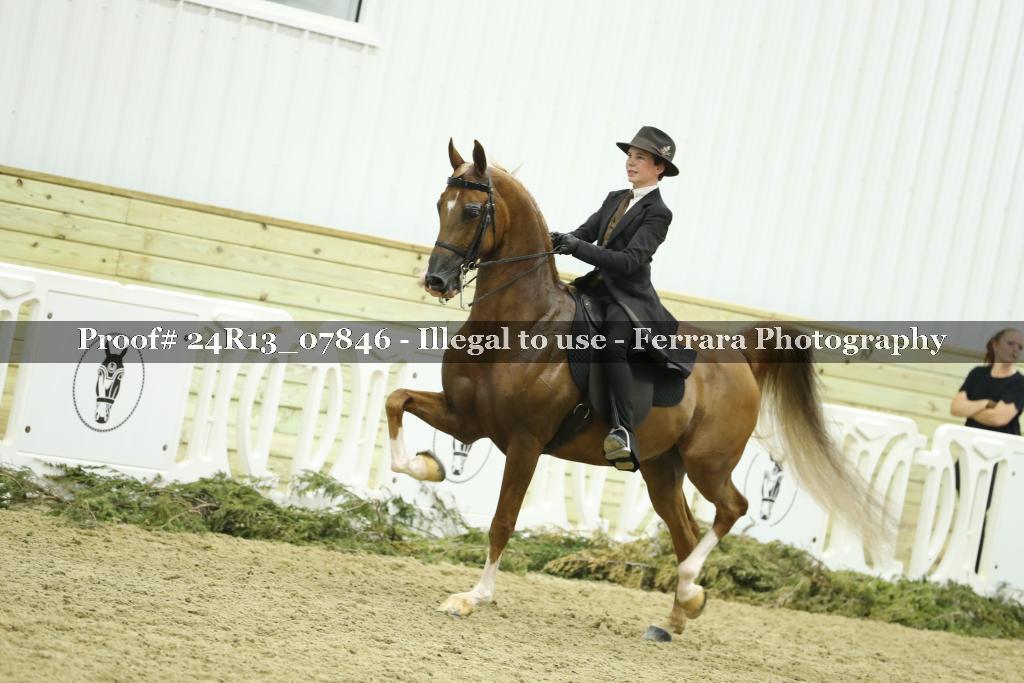 Proof 24R13_07846