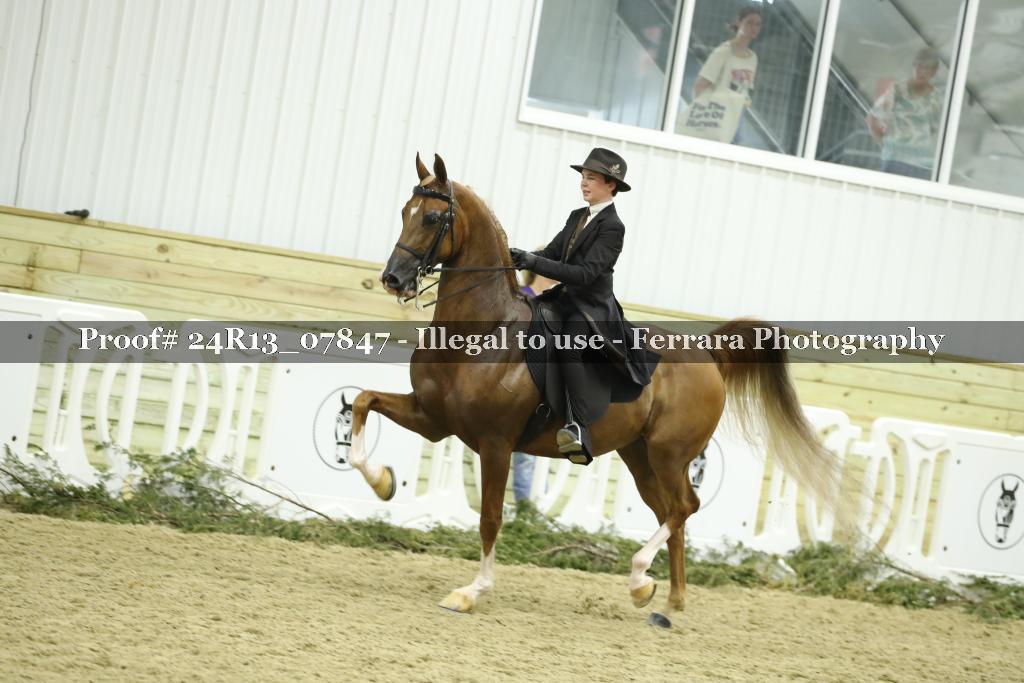 Proof 24R13_07847