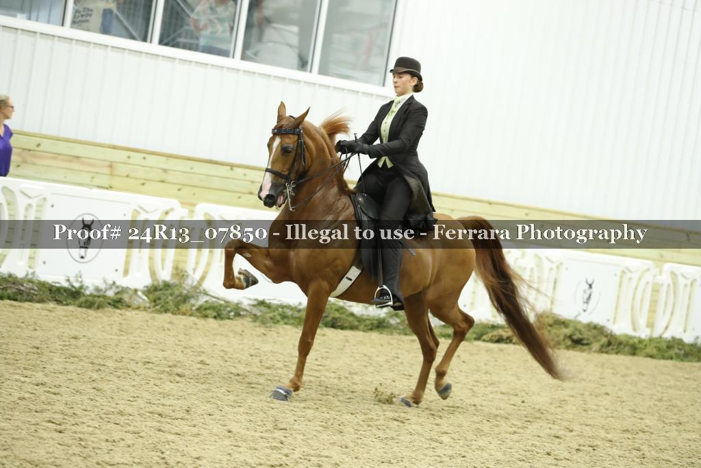 Proof 24R13_07850