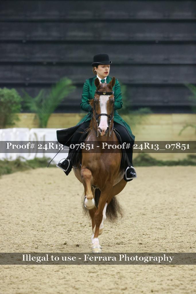 Proof 24R13_07851