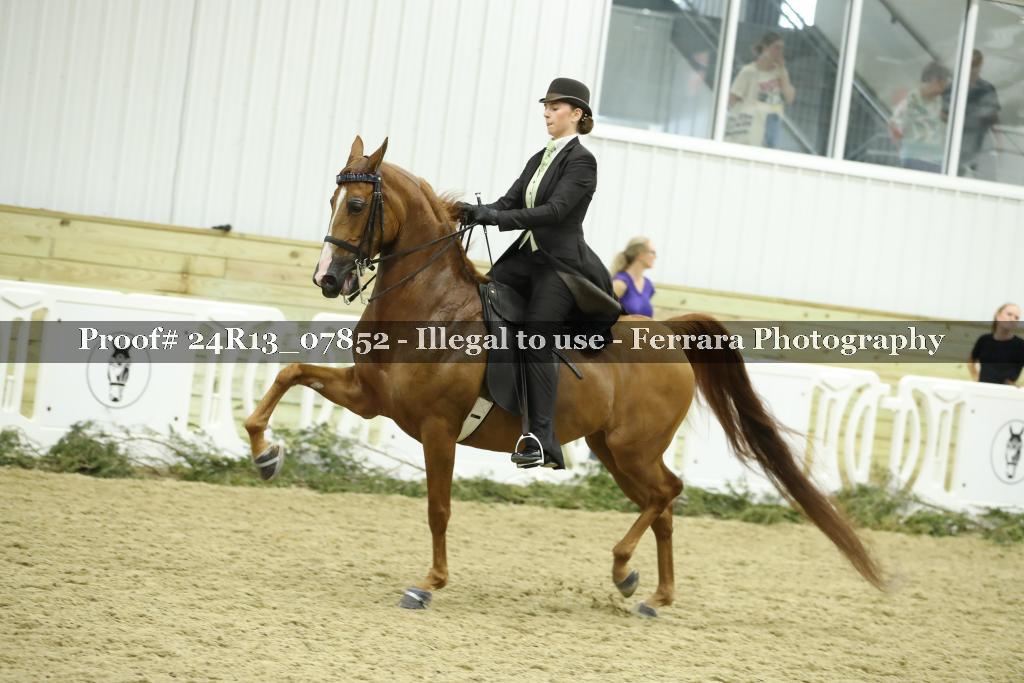 Proof 24R13_07852