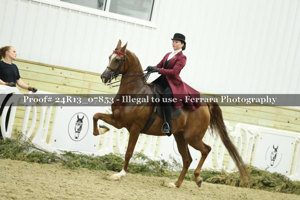 Proof 24R13_07853