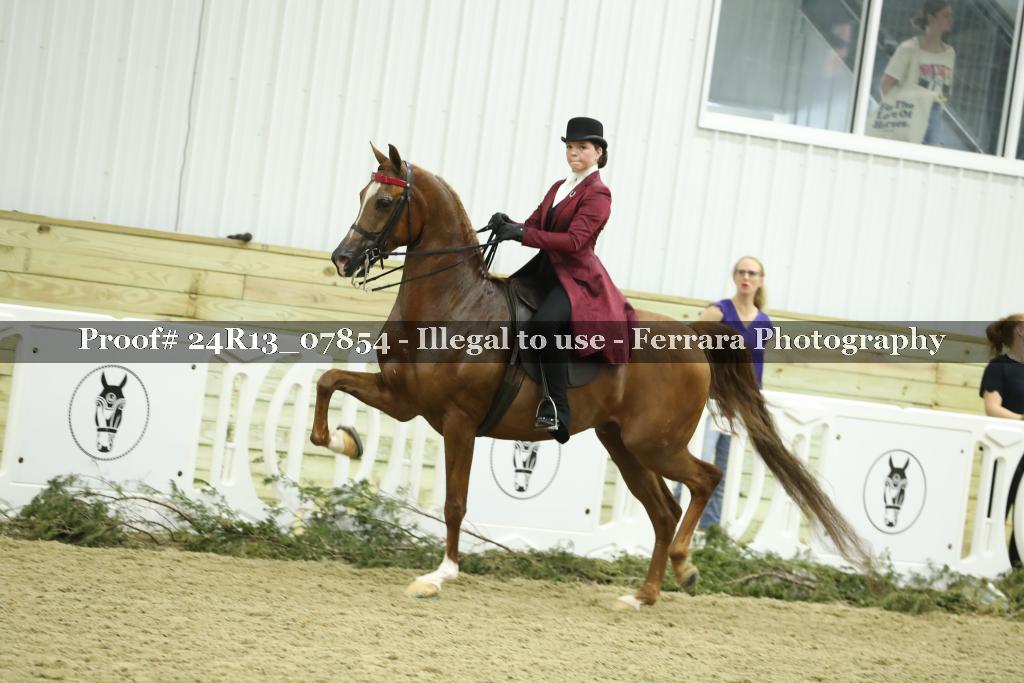 Proof 24R13_07854