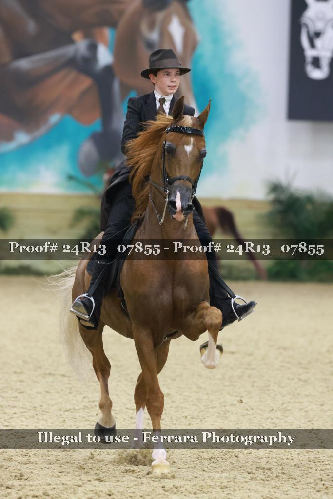 Proof 24R13_07855