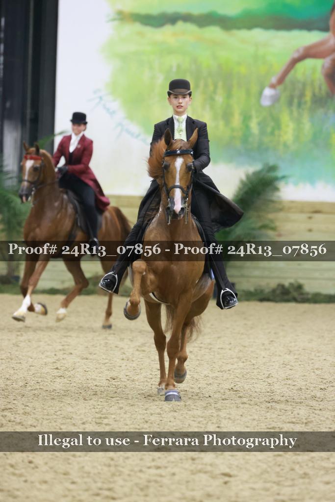 Proof 24R13_07856